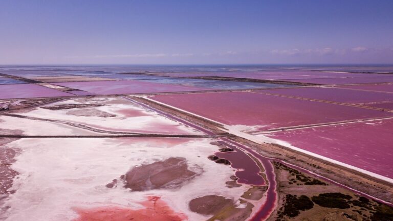 Vue aérienne des marais salants aux bassins teintés de rose