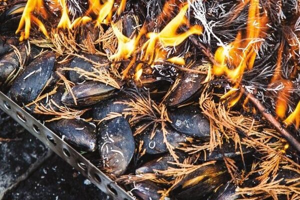 Tout savoir sur l&rsquo;éclade de moules et les secrets de sa cuisson aux aiguilles de pin